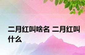 二月红叫啥名 二月红叫什么