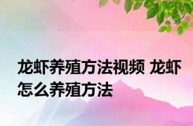 龙虾养殖方法视频 龙虾怎么养殖方法