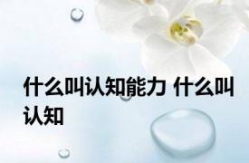 什么叫认知能力 什么叫认知