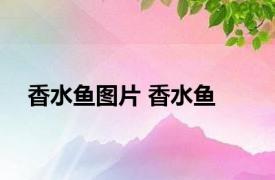 香水鱼图片 香水鱼 