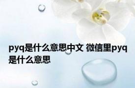 pyq是什么意思中文 微信里pyq是什么意思