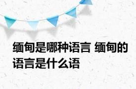 缅甸是哪种语言 缅甸的语言是什么语