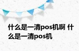 什么是一清pos机啊 什么是一清pos机