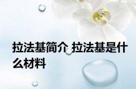 拉法基简介 拉法基是什么材料