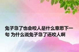 兔子急了也会咬人是什么意思下一句 为什么说兔子急了还咬人啊