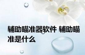 辅助瞄准器软件 辅助瞄准是什么