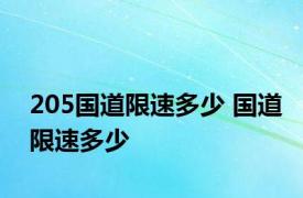 205国道限速多少 国道限速多少