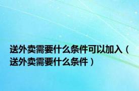 送外卖需要什么条件可以加入（送外卖需要什么条件）