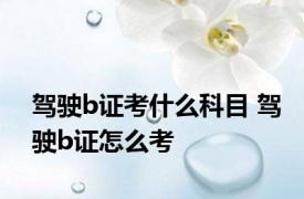 驾驶b证考什么科目 驾驶b证怎么考