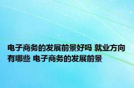 电子商务的发展前景好吗 就业方向有哪些 电子商务的发展前景 