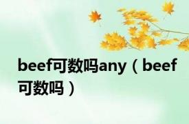 beef可数吗any（beef可数吗）