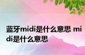 蓝牙midi是什么意思 midi是什么意思