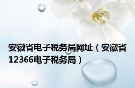 安徽省电子税务局网址（安徽省12366电子税务局）