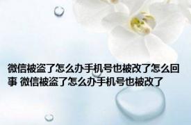 微信被盗了怎么办手机号也被改了怎么回事 微信被盗了怎么办手机号也被改了