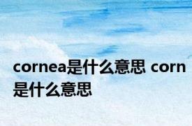 cornea是什么意思 corn是什么意思