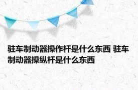 驻车制动器操作杆是什么东西 驻车制动器操纵杆是什么东西