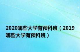 2020哪些大学有预科班（2019哪些大学有预科班）