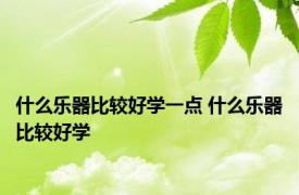 什么乐器比较好学一点 什么乐器比较好学