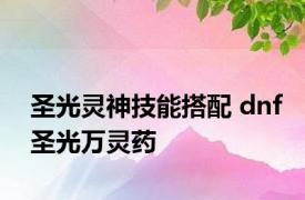 圣光灵神技能搭配 dnf圣光万灵药 