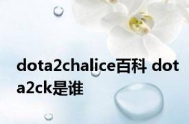 dota2chalice百科 dota2ck是谁