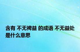 含有 不无裨益 的成语 不无益处是什么意思