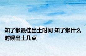 知了猴最佳出土时间 知了猴什么时候出土几点