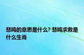 悲鸣的意思是什么? 悲鸣求救是什么生肖