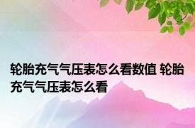 轮胎充气气压表怎么看数值 轮胎充气气压表怎么看