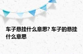 车子悬挂什么意思? 车子的悬挂什么意思