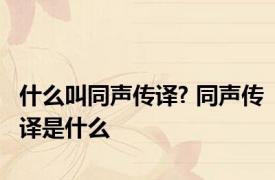 什么叫同声传译? 同声传译是什么