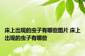 床上出现的虫子有哪些图片 床上出现的虫子有哪些