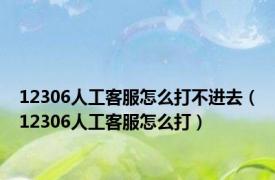 12306人工客服怎么打不进去（12306人工客服怎么打）