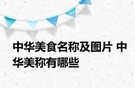 中华美食名称及图片 中华美称有哪些