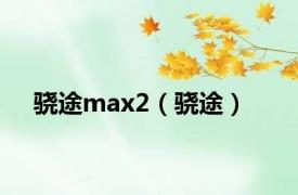 骁途max2（骁途）