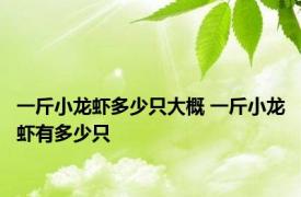 一斤小龙虾多少只大概 一斤小龙虾有多少只