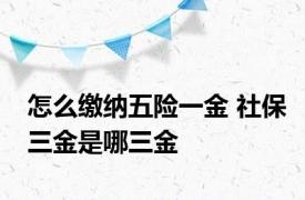 怎么缴纳五险一金 社保三金是哪三金