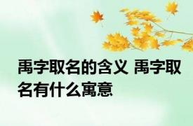 禹字取名的含义 禹字取名有什么寓意