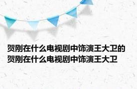 贺刚在什么电视剧中饰演王大卫的 贺刚在什么电视剧中饰演王大卫