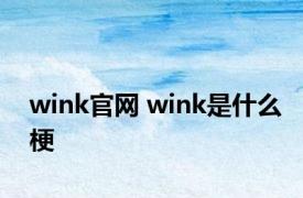 wink官网 wink是什么梗