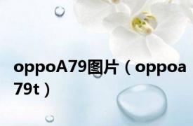 oppoA79图片（oppoa79t）