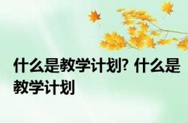 什么是教学计划? 什么是教学计划