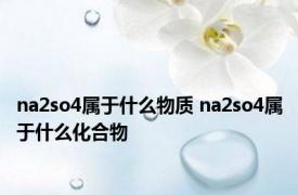 na2so4属于什么物质 na2so4属于什么化合物