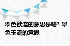 翠色欲流的意思是啥? 翠色玉流的意思