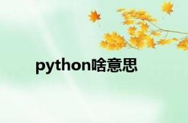 python啥意思