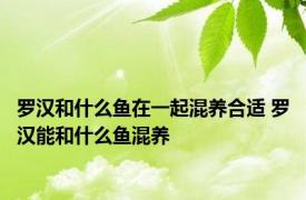 罗汉和什么鱼在一起混养合适 罗汉能和什么鱼混养