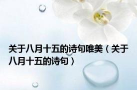 关于八月十五的诗句唯美（关于八月十五的诗句）