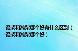 锡柴和潍柴哪个好有什么区别（锡柴和潍柴哪个好）