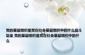 党的基层组织是党在社会基层组织中的什么战斗堡垒 党的基层组织是党在社会基层组织中的什么