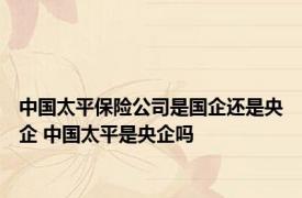 中国太平保险公司是国企还是央企 中国太平是央企吗