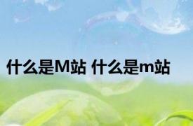 什么是M站 什么是m站